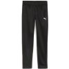 Dětské sportovní kalhoty Puma Kalhoty teamGOAL Training Pant Jr 658641-03