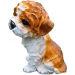 Pes Shih-tzu – Hledejceny.cz