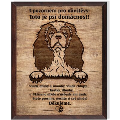 Sport hobby Obrázek Kavalír King Charles španěl - Domácnost/OD7011 – Zbozi.Blesk.cz