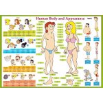Human Body and Appearance / Lidské tělo - Naučná karta – Hledejceny.cz