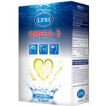 Lýsi Omega 3 přírodní rybí olej 80 kapslí – Hledejceny.cz