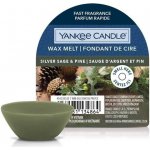 Yankee Candle vonný vosk Silver Sage & Pine Stříbrná šalvěj a borovice 22 g – Zboží Dáma