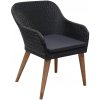 Zahradní židle a křeslo 44153 vidaXL Zahradní židle s poduškami 2 ks polyratan černé