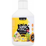 Czech Virus SuperVita Pro V2.0 500 ml spicy ginger – Zbozi.Blesk.cz