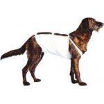 CVET Covetrus Bandáž břišní č.6 pro psy 57 cm něm.doga 1 ks – Sleviste.cz