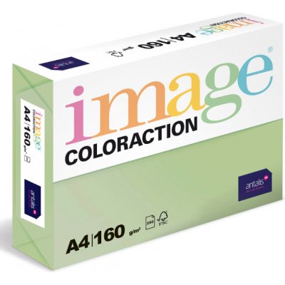 ANTALIS Barevný papír Image Coloraction A4 160g pastelově zelená 250 ks 119136