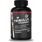 GF nutrition TRIBULUS TriComplex 120 kapslí – Zboží Dáma
