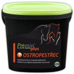 Premin Plus Ostropestřec 5 kg – Hledejceny.cz