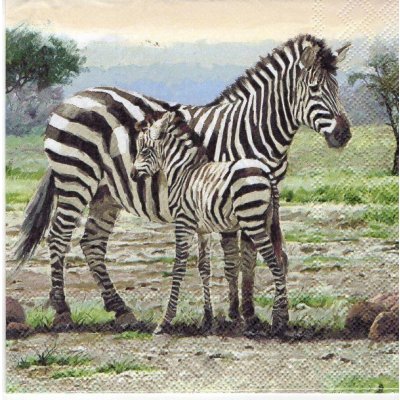 Ubrousek 33 x 33 cm ZEBRY – Zboží Mobilmania