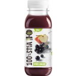 Ugo 100% šťáva Rybíz / jablko 250 ml – Zbozi.Blesk.cz