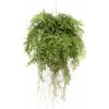 Květina zahrada-XL Emerald Umělá závěsná kapradina s kořeny 55 cm