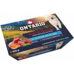 Ontario s extra hovězím 320 g – Hledejceny.cz