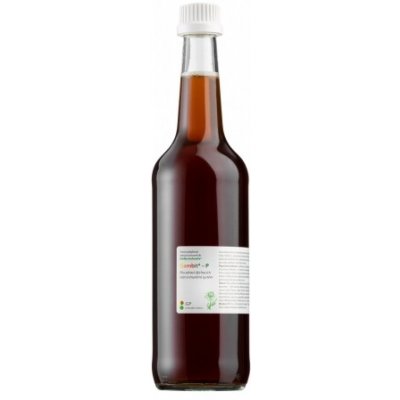 Dědek kořenář GAMBIT P- ovocnobylinný koncentrát 700 ml – Hledejceny.cz