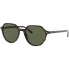 Sluneční brýle Ray-Ban RB 2195 902 31 Thalia