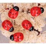 Dekorace Berušky s lepkou 25mm - 6ks – Zboží Dáma