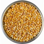ZS Dynín Kukuřice krmná zrno 25 kg – Hledejceny.cz