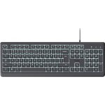Trust Primo Illuminated Keyboard 26288 – Zboží Živě