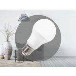 Nedes ZLS503 LED E27, A60, 12W, studená bílá – Hledejceny.cz