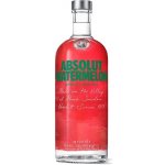 Absolut Watermelon 38% 0,7 l (holá láhev) – Zboží Mobilmania