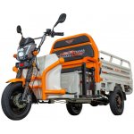 RURIS PILOT 3120A E-tříkolka – Zbozi.Blesk.cz