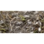 SISAL FIBRE výstelka zvířecí srst-rostlinné vlákno-mech 500g – Zboží Dáma