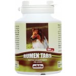 Mikita Rumen tablety 100 tablet – Hledejceny.cz
