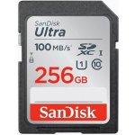 SanDisk SDXC 256 GB SDSDUNR-256G-GN3IN – Hledejceny.cz