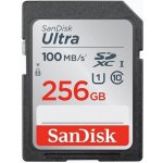 SanDisk SDXC 256 GB SDSDUNR-256G-GN3IN – Zbozi.Blesk.cz