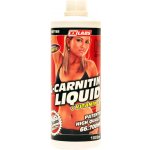 XXtreme Nutrition L-Carnitin 66700 1000 ml – Sleviste.cz