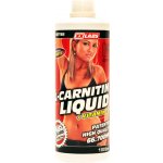 XXtreme Nutrition L-Carnitin 66700 1000 ml – Hledejceny.cz