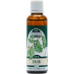 Naděje Dub bylinná tinktura z pupenů rostliny 50 ml – Hledejceny.cz