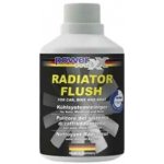 BlueChem Radiator Flush 300 ml – Sleviste.cz