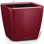 Lechuza Quadro 28 cm LS scarlet rot – Hledejceny.cz