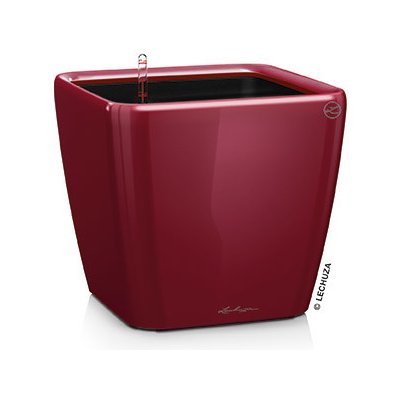 Lechuza Quadro 28 cm LS scarlet rot