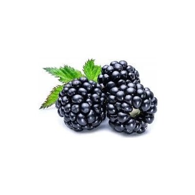 Sedmikráska ovocný sirup Ostružina s echinaceou 0,5 l – Hledejceny.cz