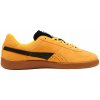 Dámské sálové boty Puma Handball 106695-04