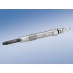 BOSCH Žhavicí svíčka 0250202036 – Hledejceny.cz