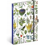 Kateřina Winterová Notes Bylinky tečkovaný 13 x 21 cm – Zbozi.Blesk.cz
