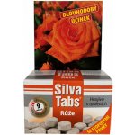 Nohel Garden Hnojivo SILVA TABS na kvetoucí keře a růže 250 g – Sleviste.cz