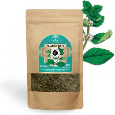 INCA BOTANICA Pralesní máta 60 g – Zboží Dáma