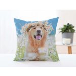 Carbotex Zlatý Retrívr Amálka 40 x 40 cm – Sleviste.cz