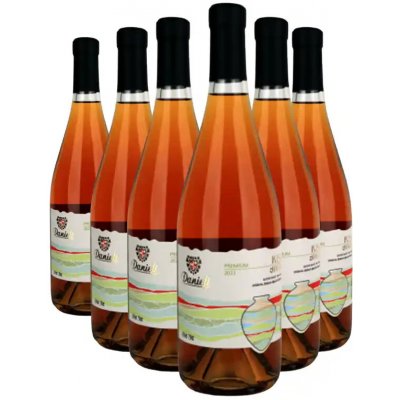 Danieli Winery KISI KVEVRI bílé suché víno 12% 6 x 0,75 l (holá láhev) – Hledejceny.cz