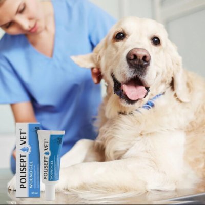 Polisept VET Wound gel 30 ml – Hledejceny.cz