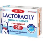 Terezia Company Lactobacily + HLÍVA ÚSTŘIČNÁ s betaglukany FORTE 10 kapslí – Hledejceny.cz