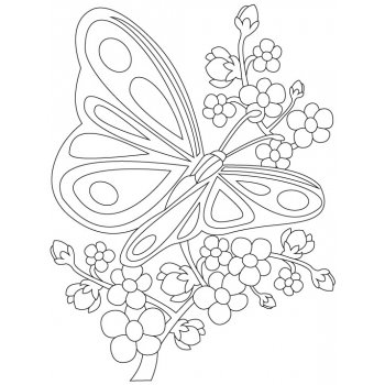 Pískohraní s.r.o. Šablona Větvička s motýlkem 297 x 420 mm