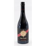 Terra Tangra Black Label Malbec červené 2018 14% 0,75 l (holá láhev) – Hledejceny.cz