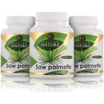 Golden Nature 2+1 Saw Palmetto 45% mastných kyselin 100 kapslí – Hledejceny.cz