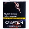 Tabáky do vodní dýmky Craftium Forest Berree 20 g