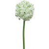 Květina Umělá květina, Česnek okrasný - Allium x3 zelená s trávou 82 cmbilá /zelená pruměr 14cm