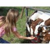 Zážitek Allegria na farmu za zvířaty
